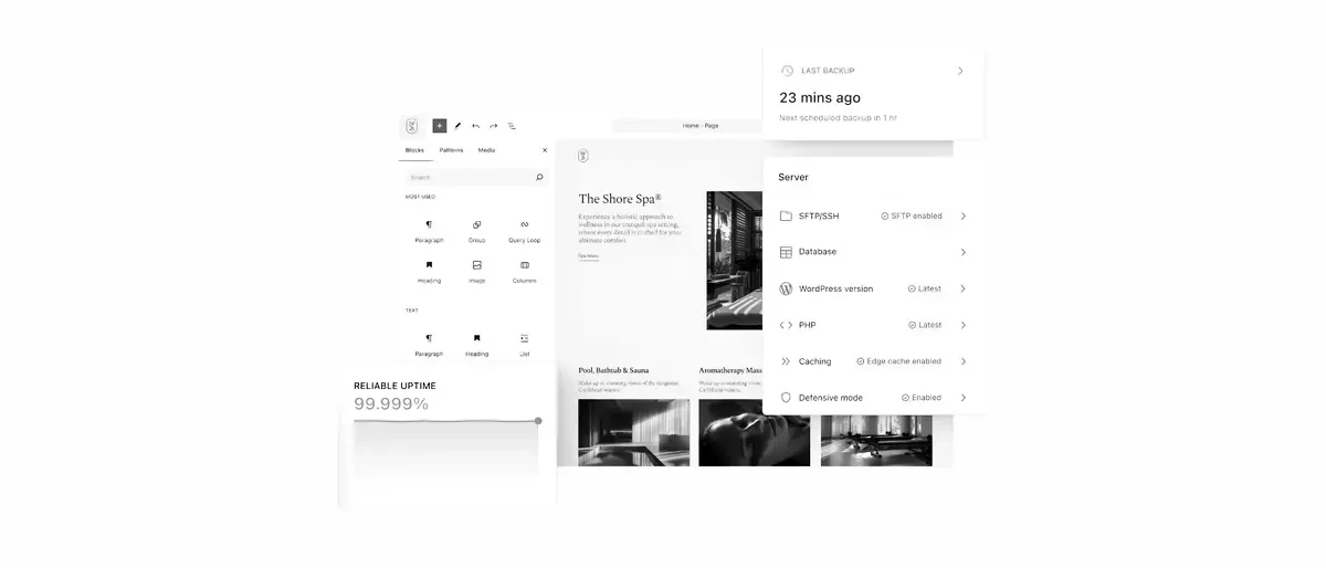 A WordPress site builder with uptime and server status panels