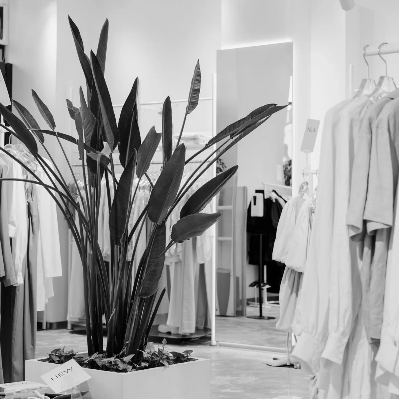 The interior of a retail clothing store
